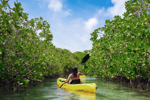 a woman paddles in a yellow kayak down a narrow stream. There are green trees on either side of the stream. The sky is blue with white fluffy clouds