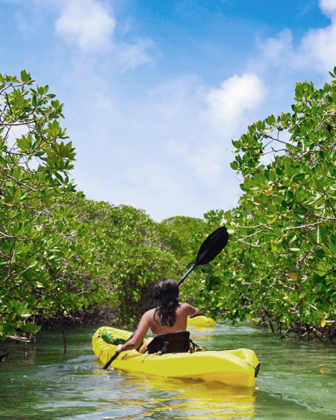 a woman paddles in a yellow kayak down a narrow stream. There are green trees on either side of the stream. The sky is blue with white fluffy clouds