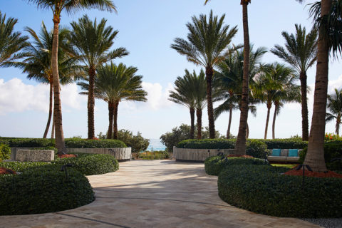 Image of a courtyard. There is a path leading through the courtyard to the beach. There are palm trees lining the path. There are couches in different alcoves surrounded by plants.