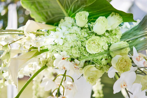 detail shot of white and light green flowers flowing out of the top of a white vase