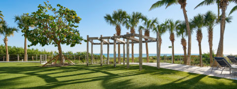 outdoor walkway lined with palm trees. the grass is brilliantly green and there is a wooden structure along the pathway. There is also a view of the ocean from the path