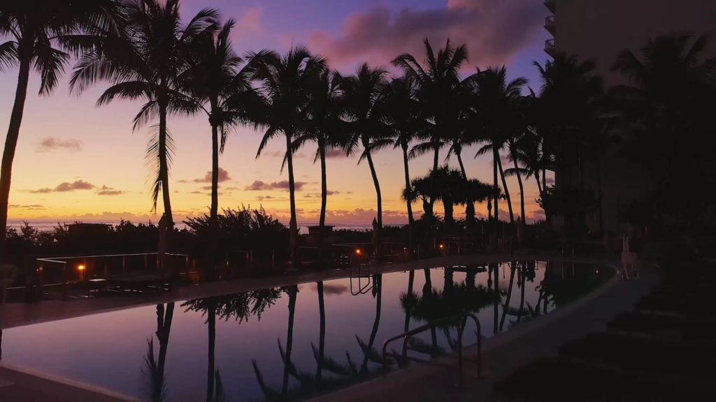 A pool surrounded by palm trees at sunset