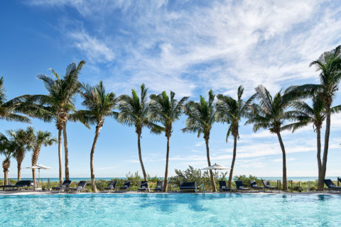 landscape shot of a line of palm trees against the blue sky. Beneath the palm trees and umbrellas and loungers that line a pool. The ocean is visible in the background.
