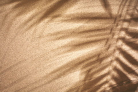 space of shadow palm leaf on sand beach texture background