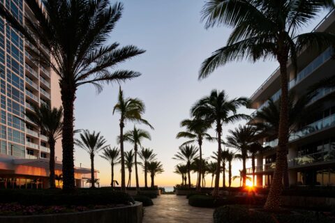 Image of the Palm Court at sun down