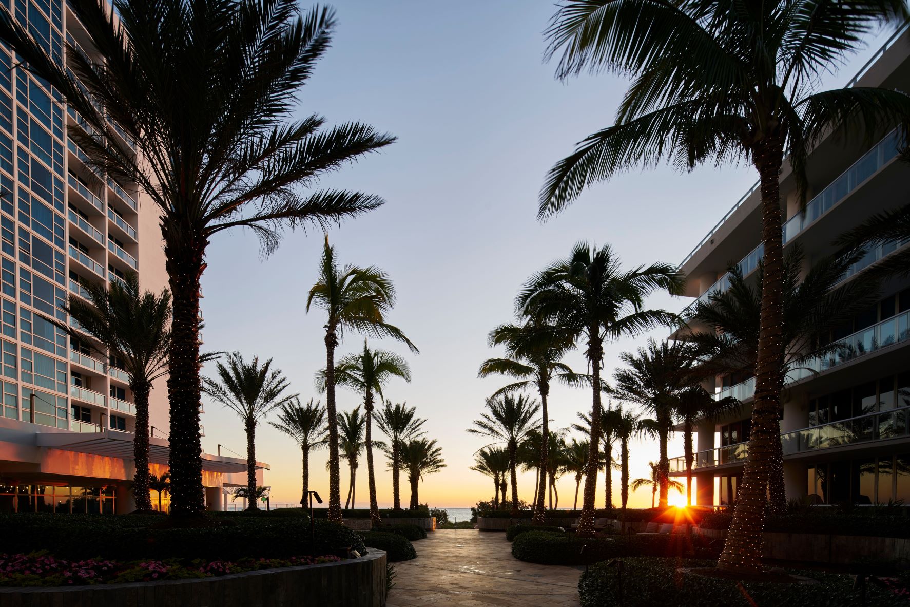 A sunset view of a walkway lined with palm trees and gardens, with buildings on either side.