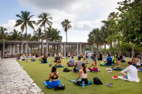 Mass yoga class taking place at the North Tower Lawn