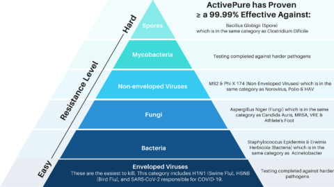 Hierarchy pyramid graphic of different pathogens