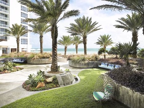 The layout of palm trees at the Palm Court