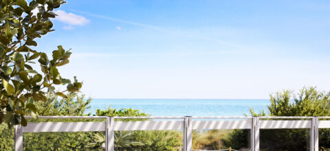 ocean view from the strand restaurant with seagrape plants