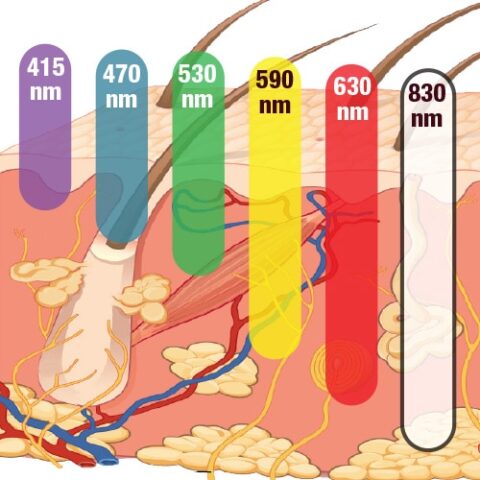 graphic of light penetration on your skin