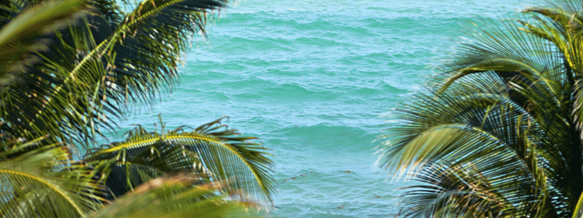 Carillon Miami Wellness Resort — photo 46 of 60