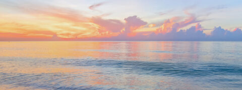 Ocean and horizon with a sunrise